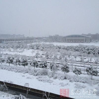 自由式滑雪其实就是一种特技表演