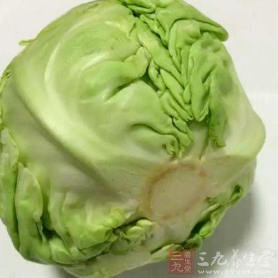 圆白菜亦是开十字花的蔬菜