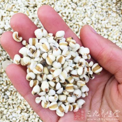 除了大家熟知能补血的红豆,薏仁好处多多 除了大家熟知能补血的红豆,薏仁好处多多