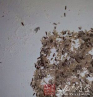 河南处罚一起食用面粉生虫投诉案