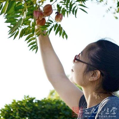 好的內(nèi)衣能將你的胸部高點向上提