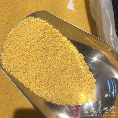 小米内含有多种对性有益的功能因子 小米内含有多种对性有益的功能因子