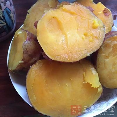 红薯含一种氧化酶