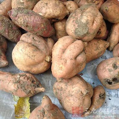 除了钙质外,红薯还含有大量的钾和镁 除了钙质外,红薯还含有大量的钾和镁