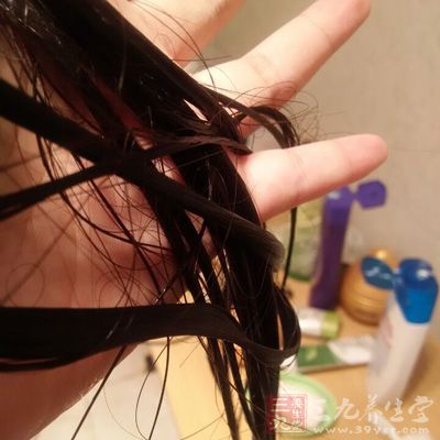 不要频繁洗头 不要频繁洗头