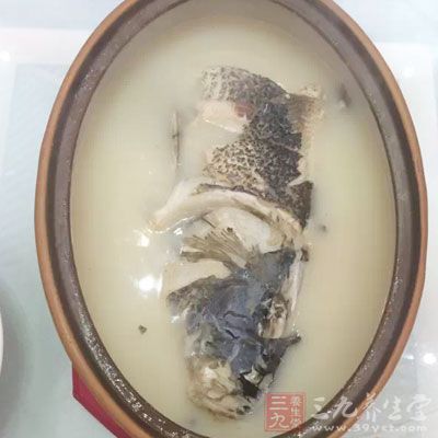 之所以選擇鯽魚，一方面鯽魚的食用沒有禁忌