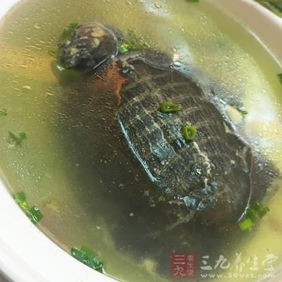 中医常选用龟甲作为补肾的佳品，龟甲可有效治疗筋骨不健