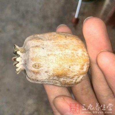 长期大量吃，会产生依赖成瘾