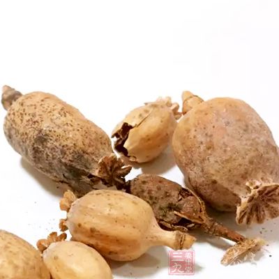 花600元购买了2公斤罂粟壳 花600元购买了2公斤罂粟壳