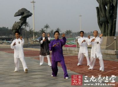 我認為楊式太極拳的各類拳架