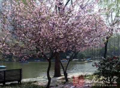 每年5～7月气温升高