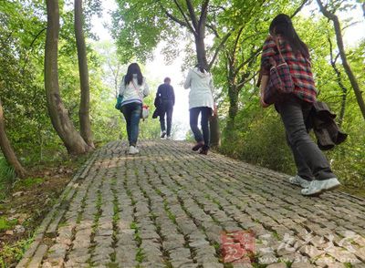 攀爬动作治背痛