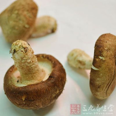 说到长寿食物，那么不得不提到香菇