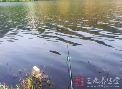 传嗑药多宝鱼引山东滞销 养殖户自证清白喝池