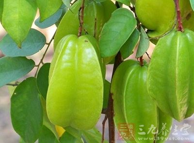 香漬楊桃其實就是用新鮮的楊桃經(jīng)過用香料處理