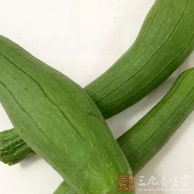 丝瓜的功效与作用