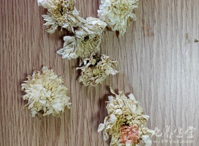 菊花富含維生素A，是保護眼睛健康的重要物質(zhì)