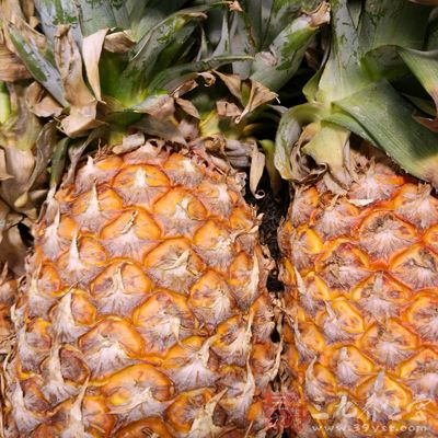 水果挑选技巧 矮胖的菠萝味道好