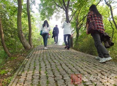 法国科学家德·索修尔为探索高山植物资源