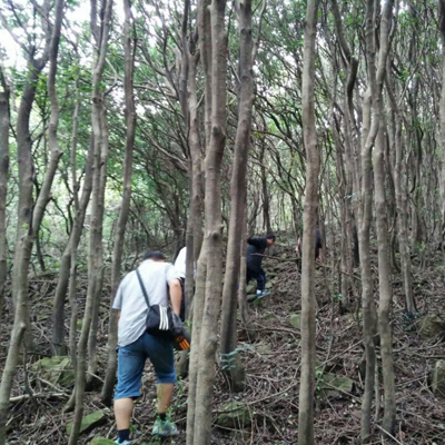 对于不是经常爬山的人来说，爬山之前一定要做一下准备活动