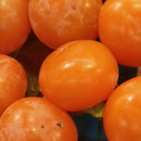 柿子叶的功效与作用 降压降脂还抗癌