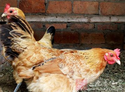 人和骆驼的病毒基因序列数据表明两者之间存在密切联系。可能还存在其他宿主 人和骆驼的病毒基因序列数据表明两者之间存在密切联系。可能还存在其他宿主