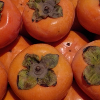 柿子的功效与作用 能清热解毒降血压