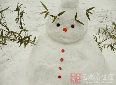 不过漫天的大雪虽然让人觉得有一些寒冷