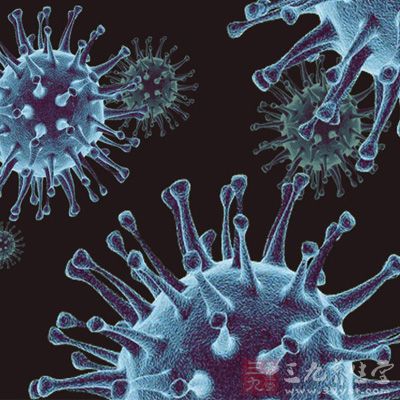 流感病毒是一种造成人类及动物患流行性感冒的rna病毒