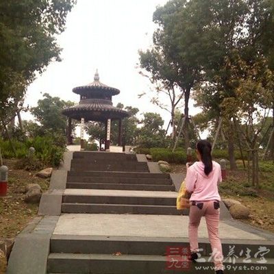 夏天爬山减肥效果显著