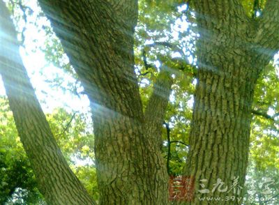 盛夏酷暑，天气炎热