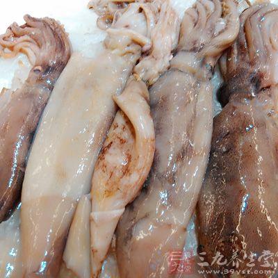 鱿鱼的营养价值非常高 鱿鱼的营养价值非常高