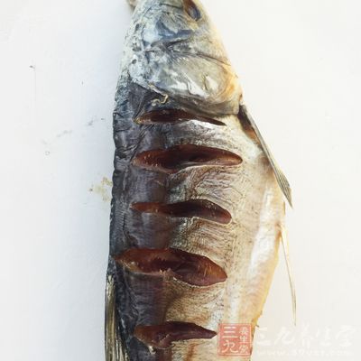 鱼体内含有丰富的DHA 鱼体内含有丰富的DHA