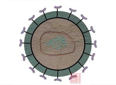 生物体是一个不稳定的化学体系，属于耗散结构