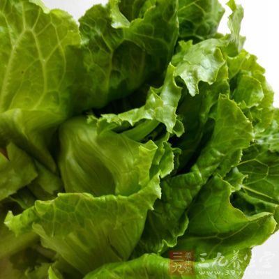 野鸡500克,生菜(团叶)50克,洋葱(白皮)100克 野鸡500克,生菜(团叶)50克,洋葱(白皮)100克