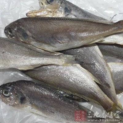 动物性食物中可多选择含脂肪相对较低的鸡、鱼