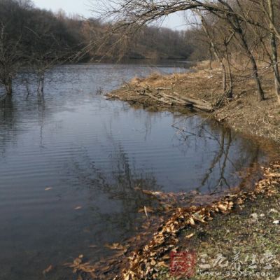 沟汊面积小而窄，水域往往中间稍深一点