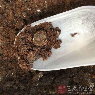 桑葚,红糖,柠檬汁 桑葚,红糖,柠檬汁