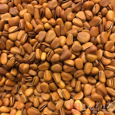 橄榄油300cc，松子70g，九层塔40g