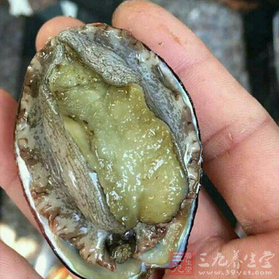 鮑魚的內(nèi)臟同樣不能食用