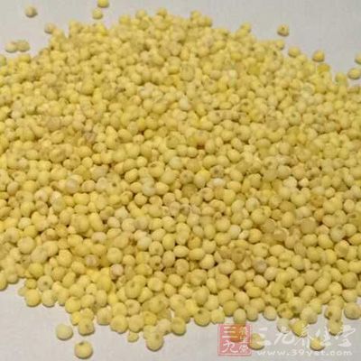 大黄米的功效与作用 多吃它可治阳盛阴虚