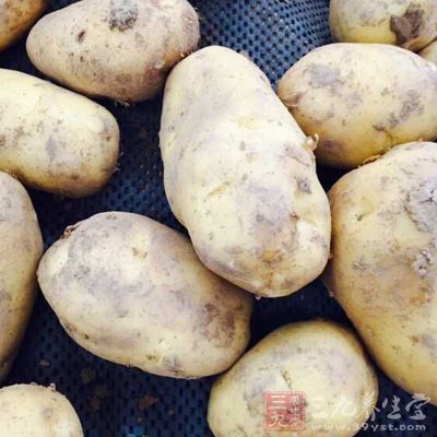 青土豆或者发芽的土豆 青土豆或者发芽的土豆