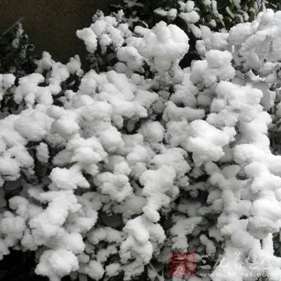 阿爾卑斯山式：滑雪是指沿雪坡滑降的滑雪運(yùn)動