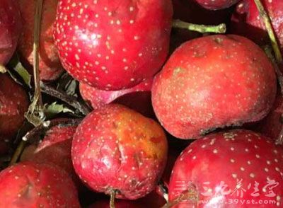 山楂,杏,桃,李子,浆果,苹果,梨,葡萄 山楂,杏,桃,李子,浆果,苹果,梨,葡萄