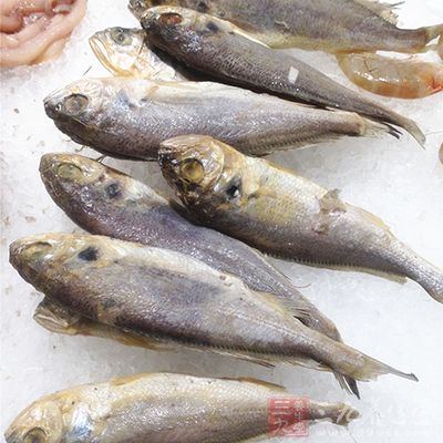 因而無(wú)論將魚(yú)膽烹熟、生吞，或是用酒送服，均可發(fā)生中毒