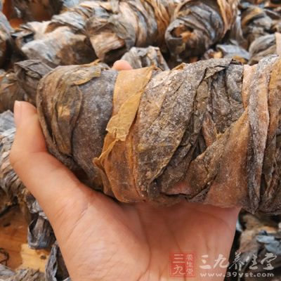 海带吸脂去浮肿 海带吸脂去浮肿