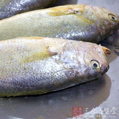 黃魚1條，茄子200克，蔥姜蒜、醋、料酒、豆瓣醬、醬油、油、鹽、雞精適量