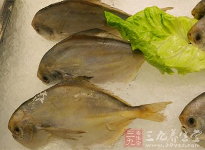 对于肾虚的男性,冬季进补应多吃鱼 对于肾虚的男性,冬季进补应多吃鱼