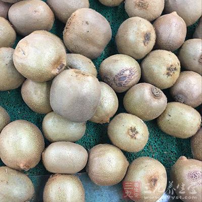 猕猴桃含有丰富的胡萝卜素、叶黄素 猕猴桃含有丰富的胡萝卜素、叶黄素