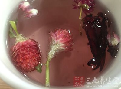 适合在春季喝的花茶